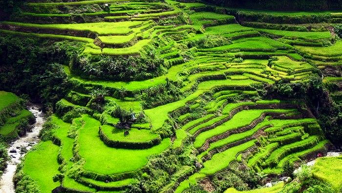 The Banaue Rice Terraces: Keindahan Warisan Budaya Filipina