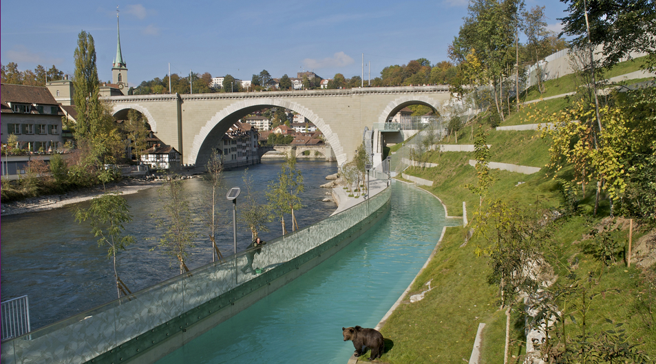 Bear Park Switzerland: Atraksi Unik untuk Pecinta Hewan di Bern